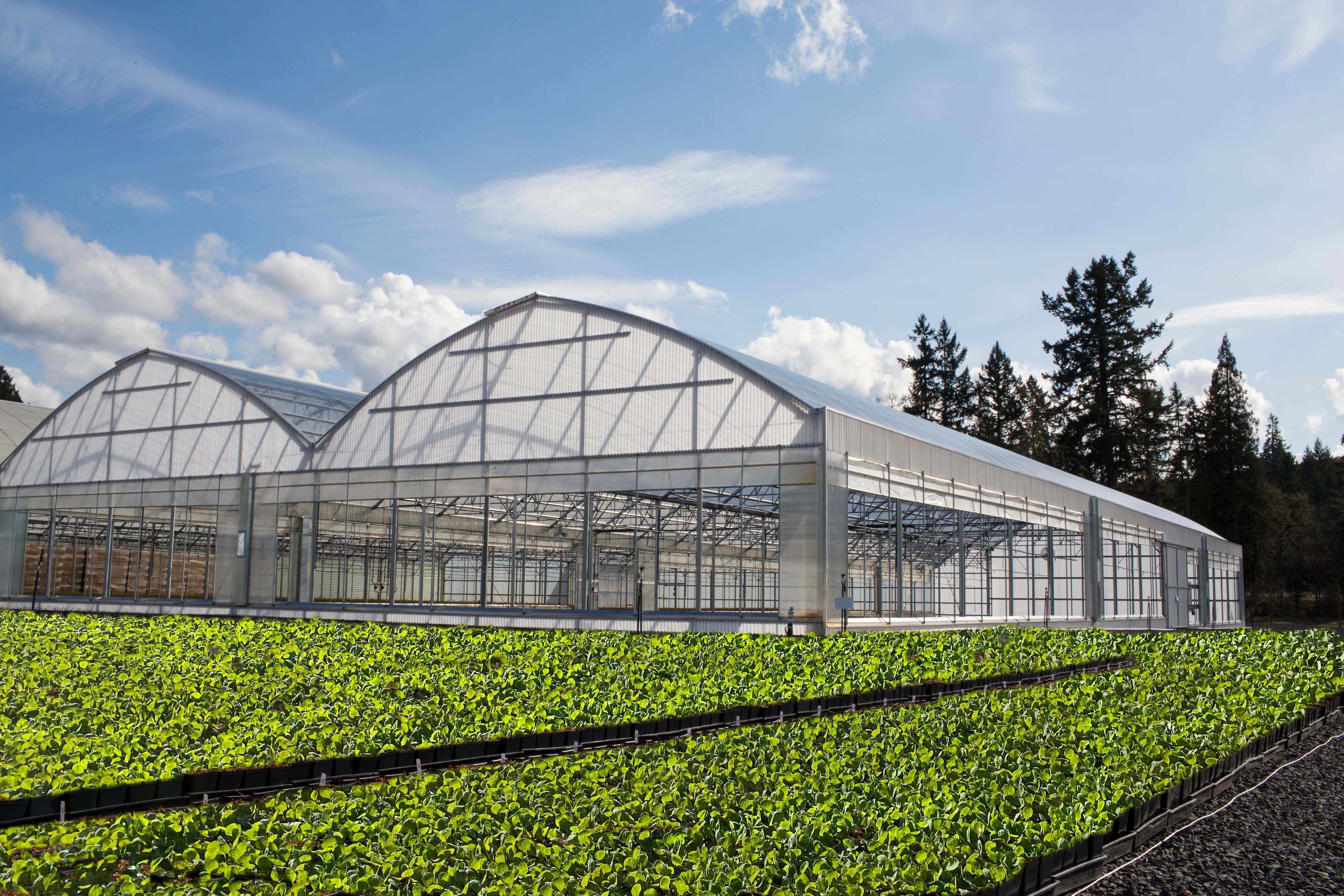Arched Series - 6500 Series