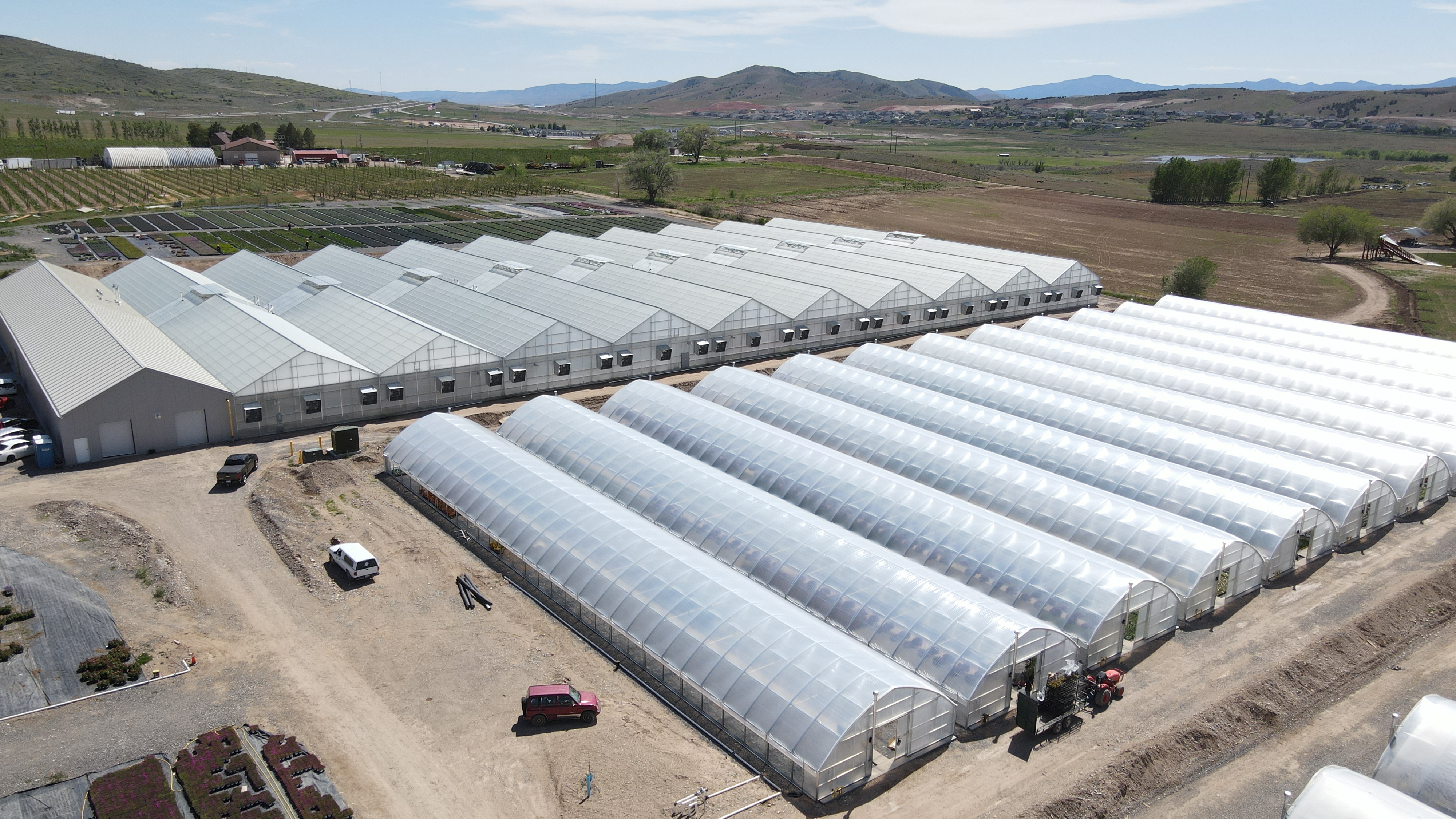 Conley's commercial production greenhouse — gutter-connected growing structure at scale