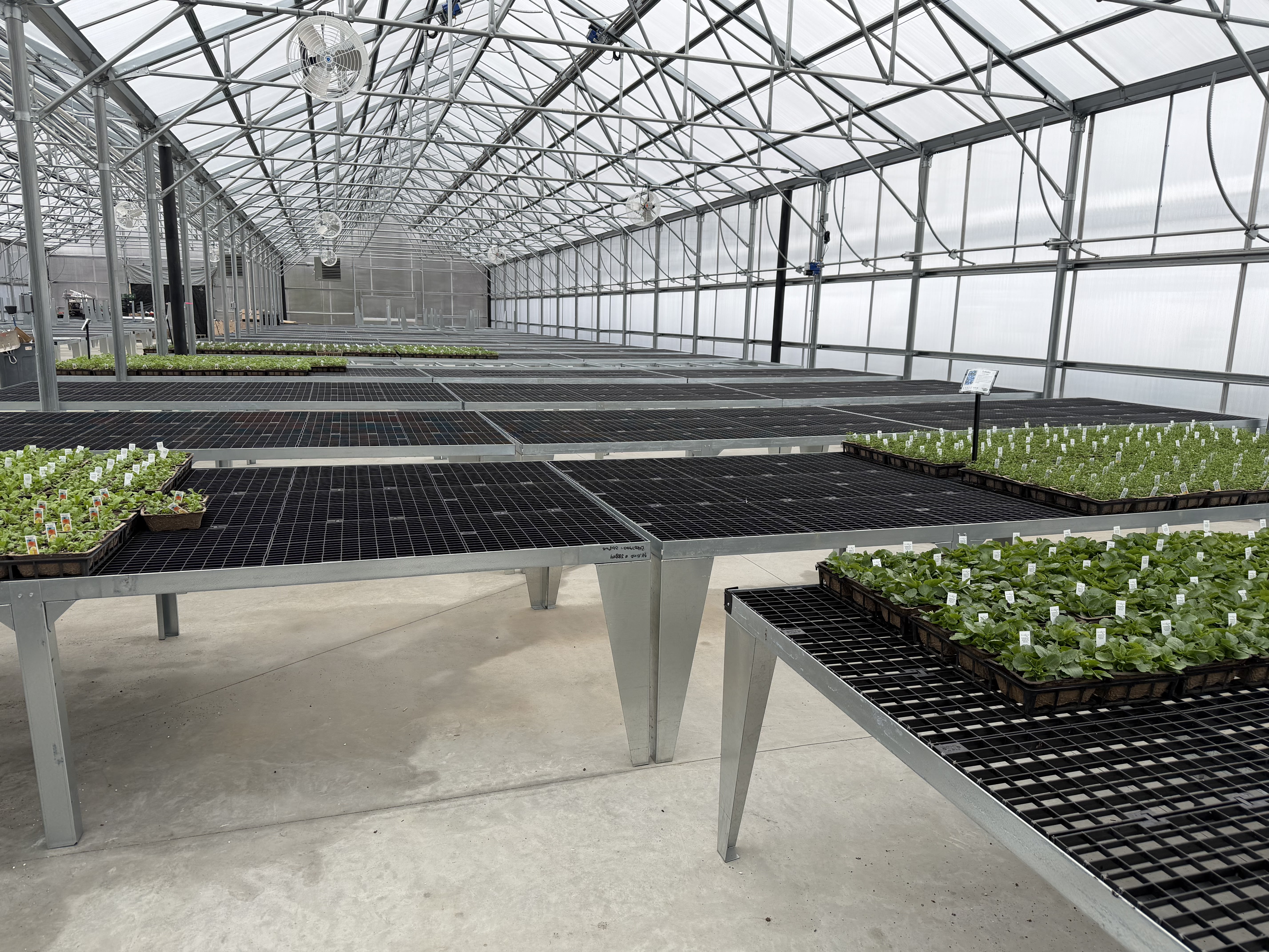 Portable greenhouse benches