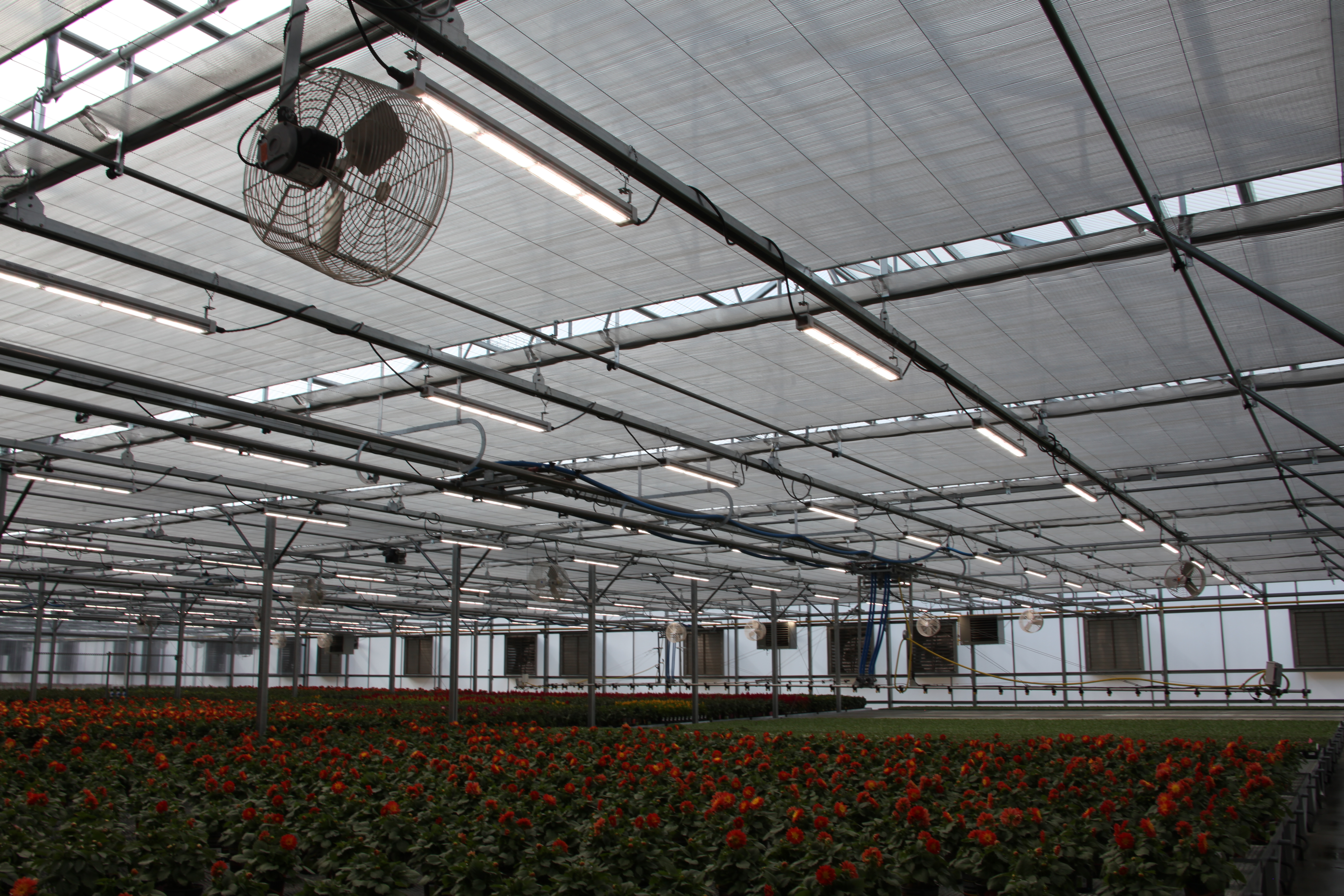 Shade Cloth Systems