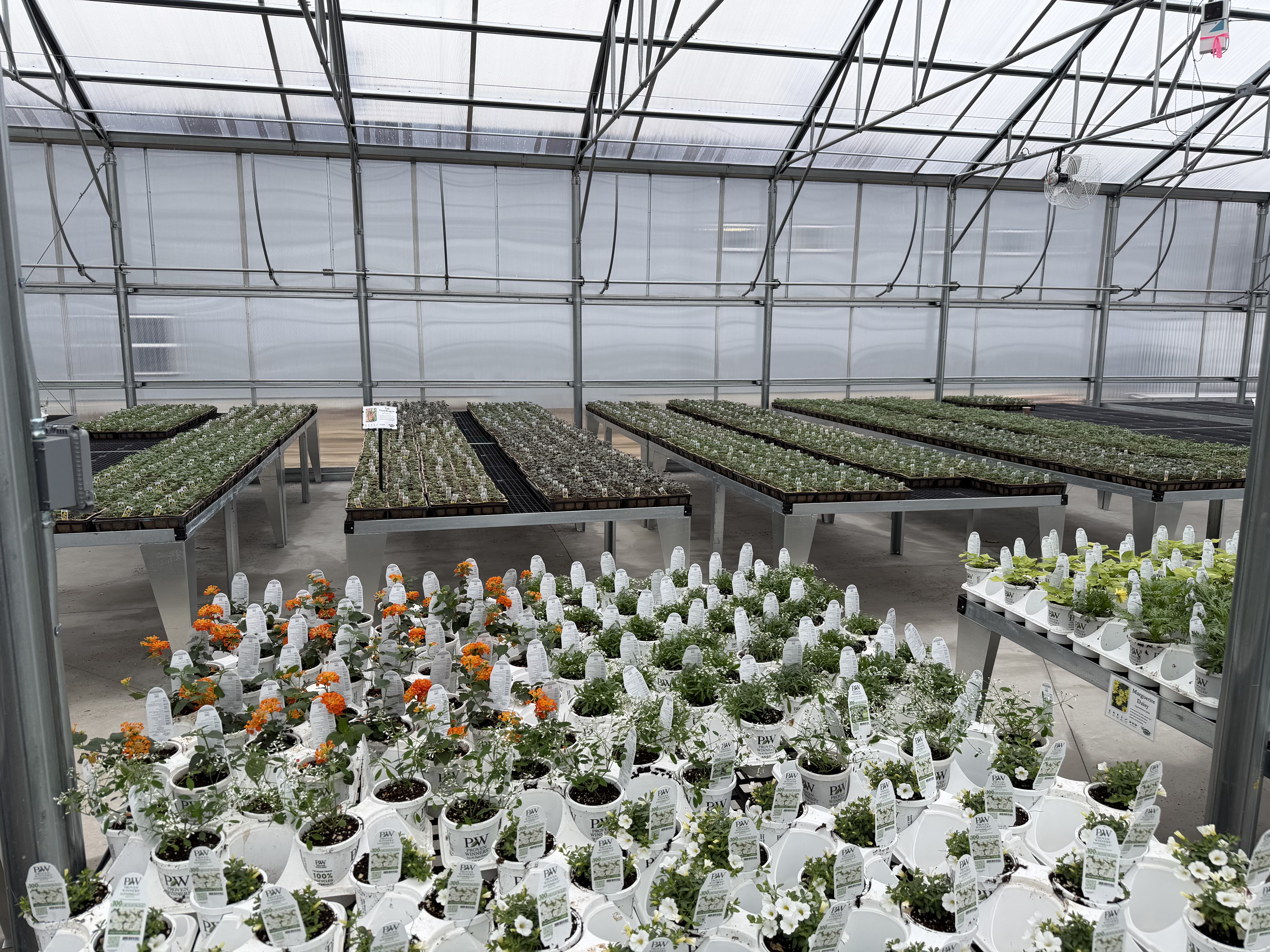 Growing Benches